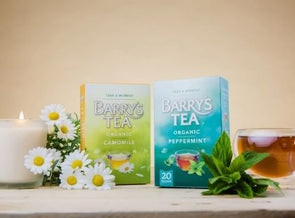 FRUIT & HERBAL