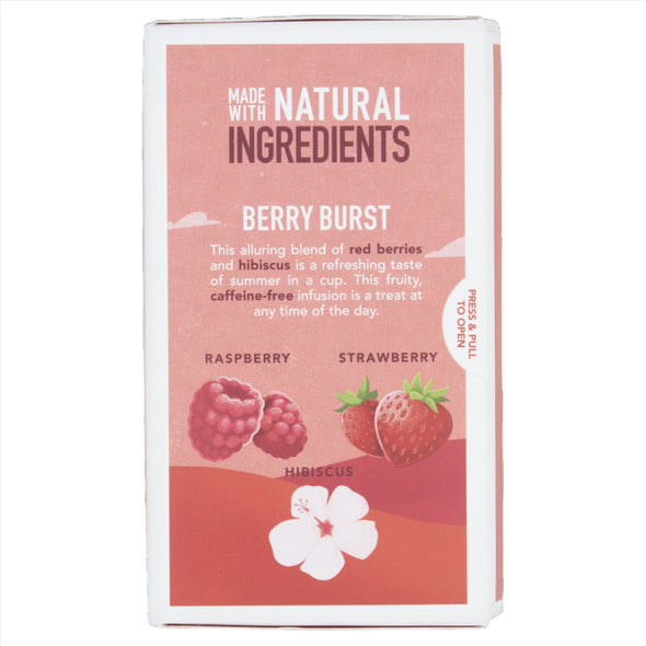 BERRY BURST 20 STRING & TAG TEABAGS