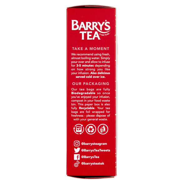 BERRY BURST 20 TEABAGS