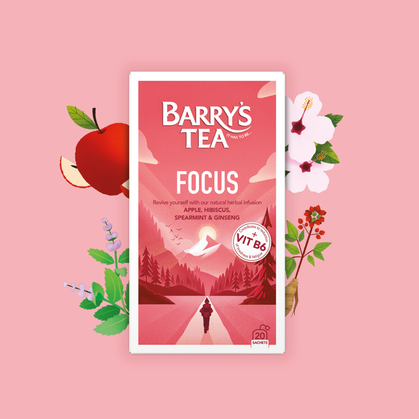 FOCUS 20 TEABAGS