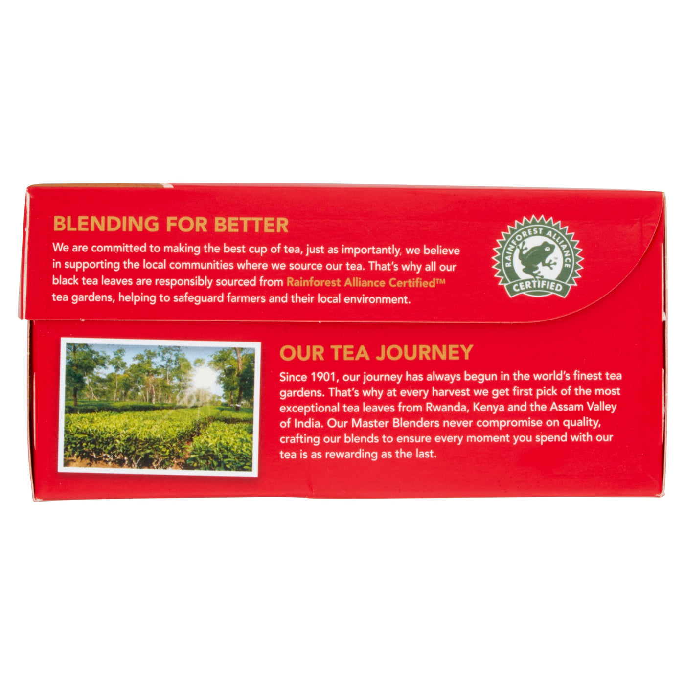 thumbnail interactive-video image 1 of 5 X Barry's Tea Gold Blend 80 Tea Bags (250g Each) – 400 Tea Bags Total – Irish Black Tea 1 of 4
